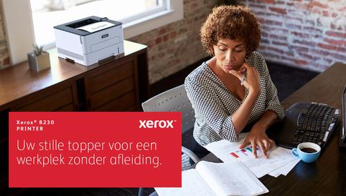 XEROX K/B230 MONO PRINTER (B230V_DNI?DK)