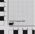 NINTENDO ACT/SLEEP (K1) BEE