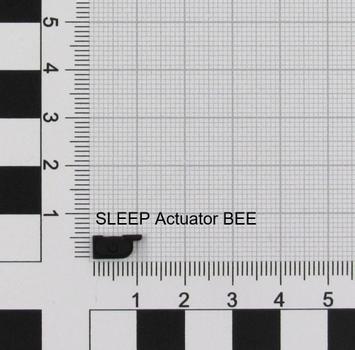 NINTENDO ACT/SLEEP (K1) BEE (10015966)