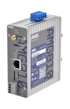 AMG Stratum 1 NTP Server, 1 x (AMG810-1F-PD)