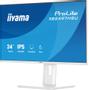 IIYAMA 24" FHD Business IPS (XB2497HSU-W1)