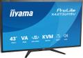IIYAMA 43" UHD USB-C (X4373UHSU-B2)