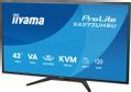IIYAMA 43" UHD USB-C (X4373UHSU-B2)