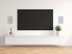 VIVOLINK In-wall Speaker Pair