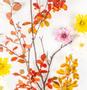 PAPER+ DESIGN table top® Serviett PAPERDESIGN 33cm Autumn B (20)