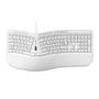 MediaRange Keyboard Office Usb Qwertz 