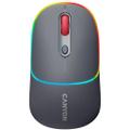 CANYON Mw-22 Mouse Universal 