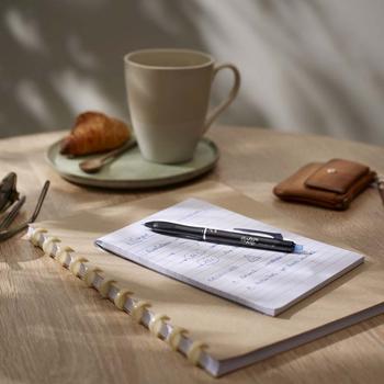 PILOT Kuglepen, Pilot Frixion (669729*10)