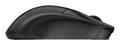 BE QUIET! Dark Perk Sym Gaming mouse , black (BM008)