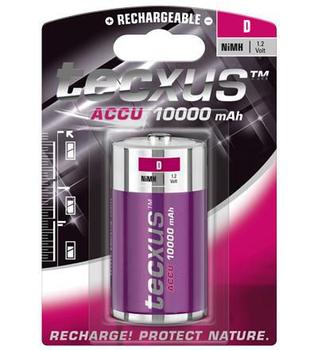 TECXUS D 10Ah Nimh 1-Bl Rechargeable  (4250145140598)