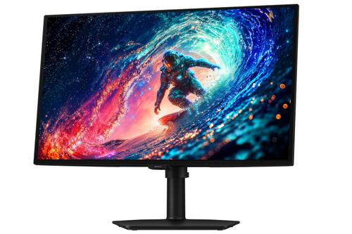 SAMSUNG ODYSSEY OLED G6 G61SH QHD 27 240HZ GAMING MONITOR (LS27HG612SUXEN)