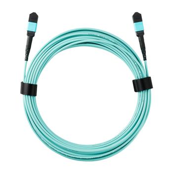 ZYXEL MPO12 850nm, MultiMode SR  (MPO-10M-ZZ0101F)