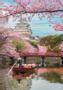 Clementoni CB HQC Himeji Castle In Spring 1000pcs (39982)