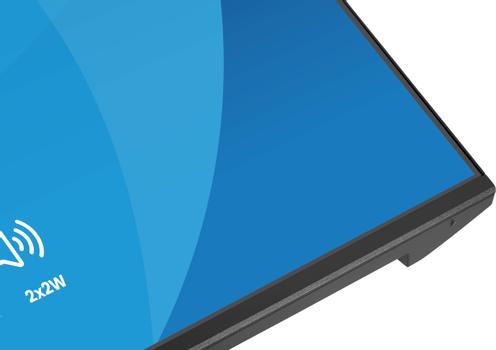 IIYAMA 24" FHD  IPS (X2491HS-B1)