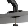 ASUS Aas01R 124.5 Cm (49") Desk  (90LA00Q0-B01D71)