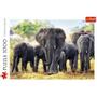 Trefl Puzzle - African elephants (1000 pieces) Floor (TFL10442)