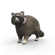 SCHLEICH Vaskebjørn