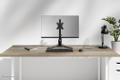 NEOMOUNTS DS45-600BL1,  Single Monitor (DS45-600BL1)