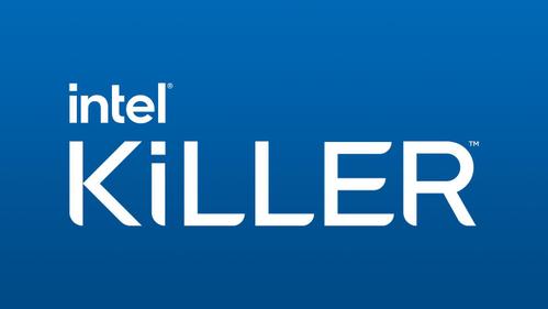 INTEL Wi-Fi 7 BE1750 i 2230 2x2 BE+BT No vPro (BE201.NGWG.NVX)