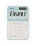 CASIO Ms-20Yc Calculator Desktop 
