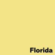 Image Coloraction Image, Coloraction, Florida/gul Kopipapir, træfri ECF, 80g/m2, 210mm x 297mm, A4, Smal bane, pakke a 500 ark FSC Mix Credit EU-miljømærke