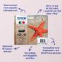EPSON n Ink Cartridges,  603, Starfish, Multipack,  1 x 8.9 ml Black, 1 x 4.0 ml Cyan, 1 x 4.0 ml Magenta, 1 x 4.0 ml Yellow, Standard (C13T03A64010)