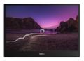 LENOVO M16 16IN MOBILE MONITOR 16:10 1920X1200 IPS USB-C WLED MNTR