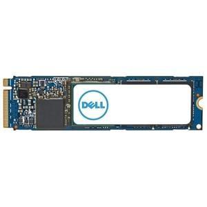 DELL M.2 PCIe NVME Gen 4x4 Class (SNP228G44/1TB)