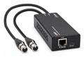 LINDY 2ch XLR Audio to Dante® 