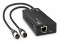LINDY 2ch Dante® to XLR Audio 