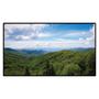 Hall Technologies HT-HV55, Hall Vision 55" 4K