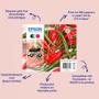 EPSON Ink/503 Chillies MultiPck 4col EasyMail (C13T09Q64510)