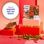 EPSON Ink/503 Chillies MultiPck 4col EasyMail (C13T09Q64510)