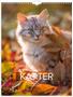 GRIEG Veggkalender GRIEG 2027 Katter