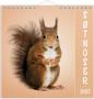 GRIEG Veggkalender GRIEG 2027 Søtnoser