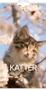 GRIEG Veggkalender GRIEG 2027 Katter Mini