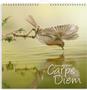 GRIEG Billedkalender GRIEG 2027 Carpe Diem