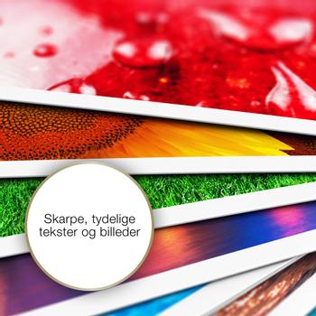 EPSON Business Paper 80gsm 500 sheets (C13S450075)