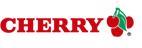 CHERRY SECURE BOARD 1.0 W/G ND WHITE/ GREY PAN-NORDIC PERP (JK-A0400PN-0)
