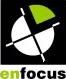 ENFOCUS Review API Access Subscription Yearly
