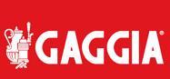 GAGGIA Decalcifier 350ml (GAG ENTKALK)