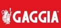 GAGGIA Decalcifier 350ml
