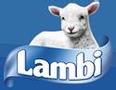 LAMBI WC-paperi valkoinen 40rll