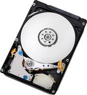 WESTERN DIGITAL Travelstar 7K500 320GB HDD (HTS725032A9A364)