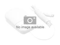 LENOVO DCG ThinkSystem Optical Wheel Mouse - USB (7M57A04698)