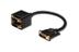 ASSMANN Electronic DVI Adapter DVI(24+5) -> 2x DVI(24+5) St/Bu 0.20m