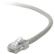 BELKIN Kab P UTP CAT5E 3m