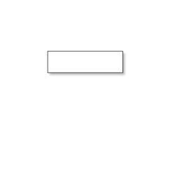 SEIKO Slide Labels 38mm, 1pcs/Box (SLP-35L)