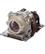 CASIO Replacement Projector Lamp
