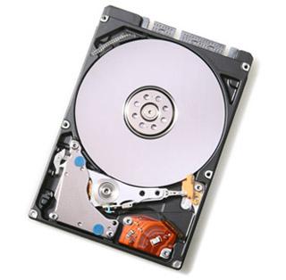 WESTERN DIGITAL Travelstar 320GB HDD SATA (0S02569)